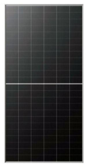 Jinko 625w bi-facial